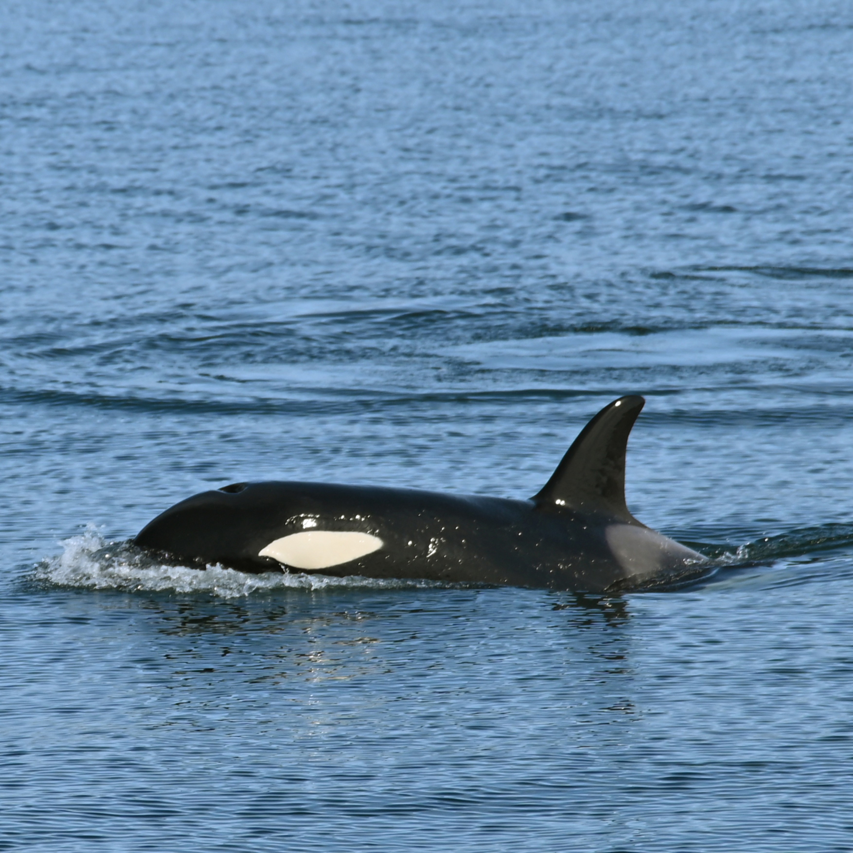 Ein Beispiel meiner Arbeit